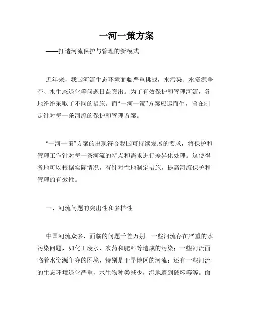 一河一策方案