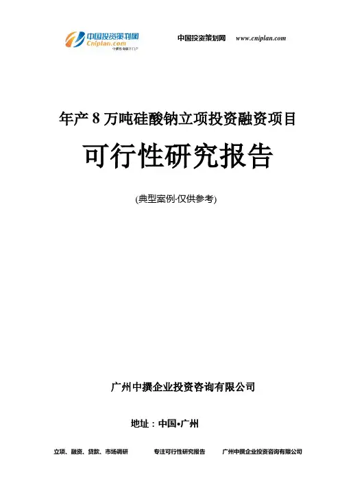 年产8万吨硅酸钠融资投资立项项目可行性研究报告(中撰咨询)