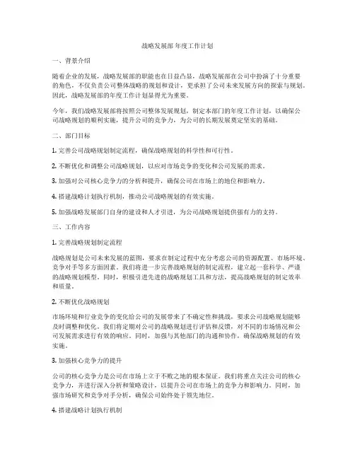 战略发展部 年度工作计划