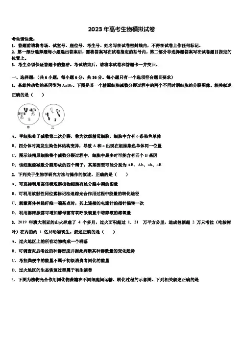 广东省广州华美2022-2023学年高三第二次模拟考试生物试卷含解析