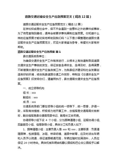 道路交通运输安全生产应急预案范文（精选12篇）
