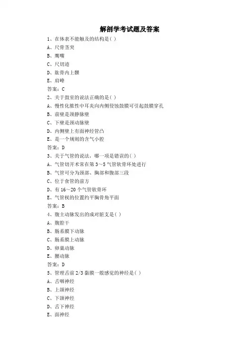 解剖学考试题及答案