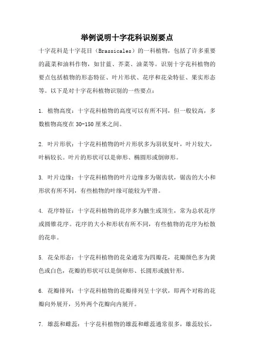 举例说明十字花科识别要点