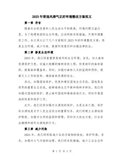 2023年营造风清气正好环境整改方案范文