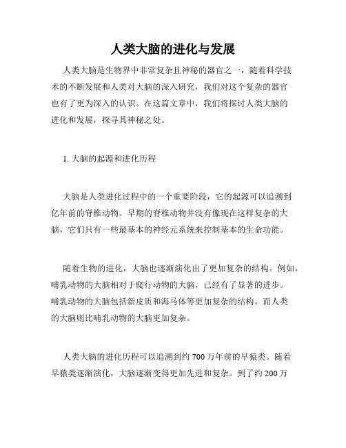 人类大脑的进化与发展