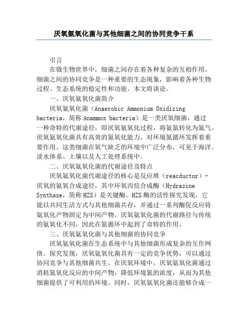 厌氧氨氧化菌与其他细菌之间的协同竞争关系