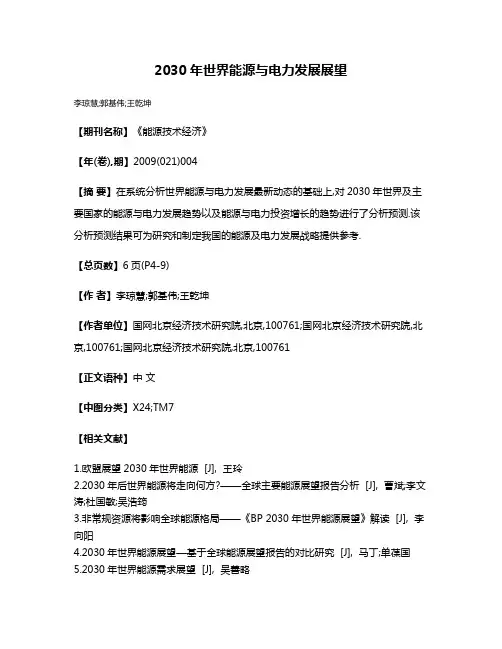 2030年世界能源与电力发展展望