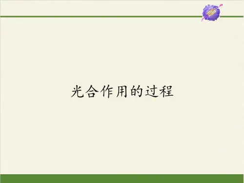 高中生物必修一课件-4.2.2光合作用的过程3-苏教版