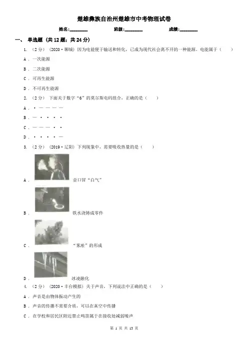 楚雄彝族自治州楚雄市中考物理试卷