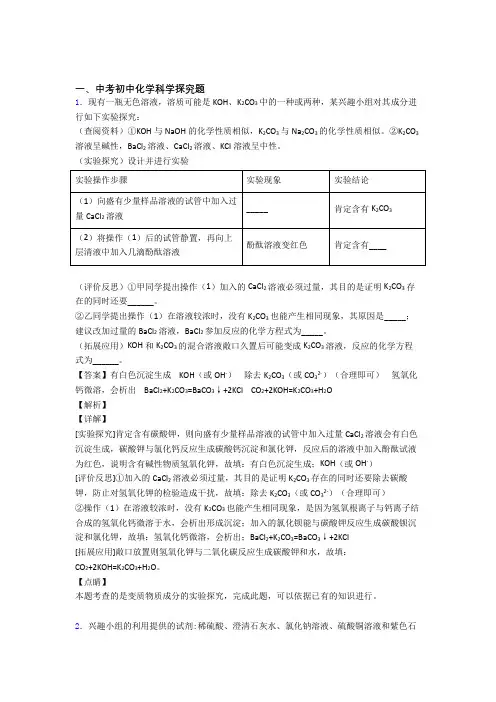 【化学】培优探究题辅导专题训练及详细答案