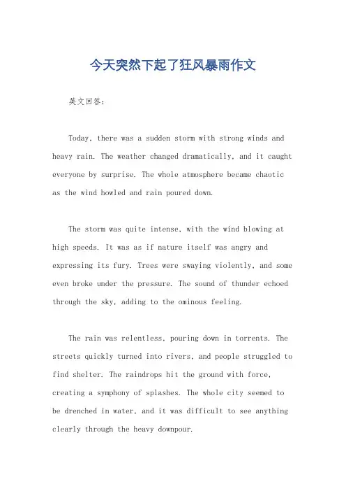 今天突然下起了狂风暴雨作文