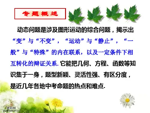 动点问题探索