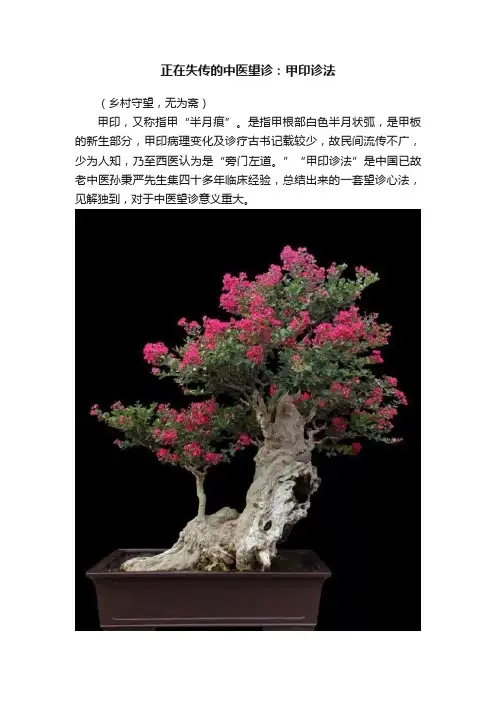 正在失传的中医望诊：甲印诊法