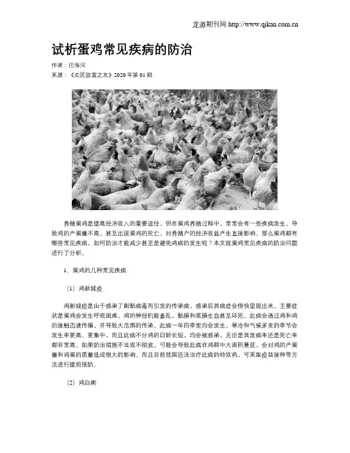试析蛋鸡常见疾病的防治