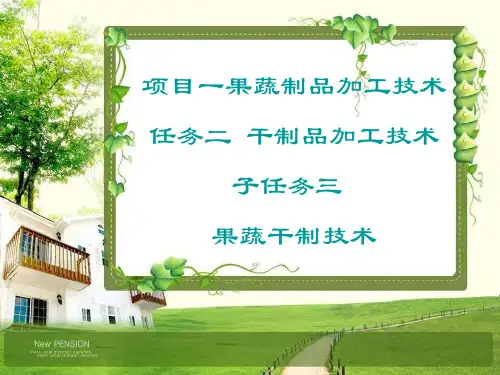 果蔬干制技术.