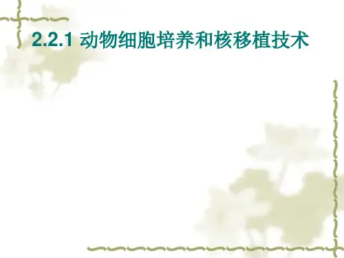 最新2.21动物细胞培养和核移植技术-PPT文档-文档资料
