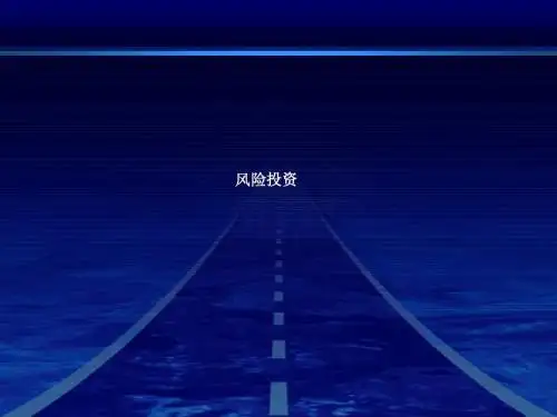 风险投资概述(PPT 86张)