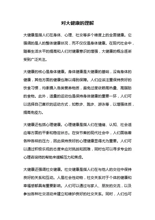 对大健康的理解
