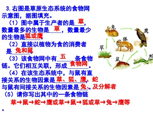 初中生物中考识图课件