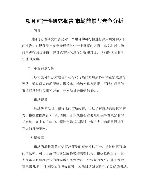 项目可行性研究报告 市场前景与竞争分析