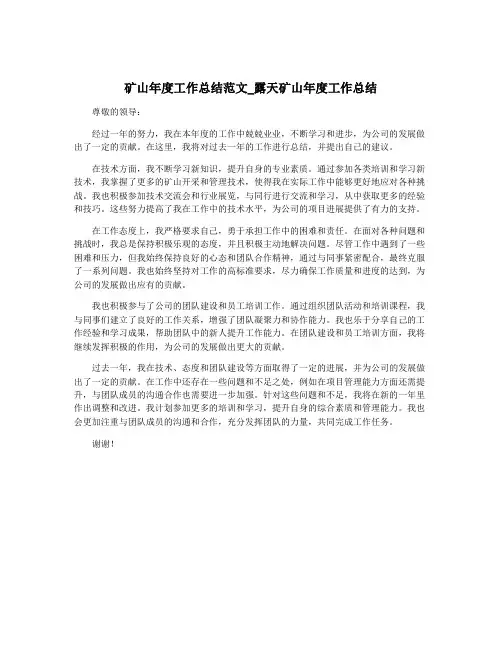 矿山年度工作总结范文_露天矿山年度工作总结