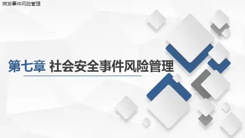突发事件风险管理课件第七章