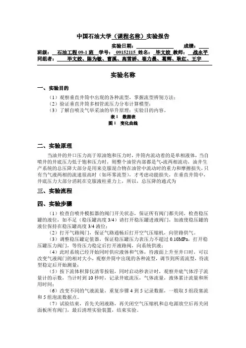 中国石油大学实验报告样板