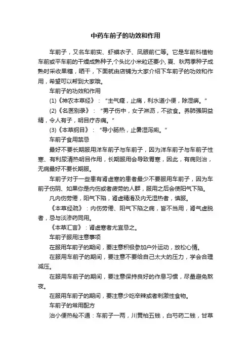 中药车前子的功效和作用