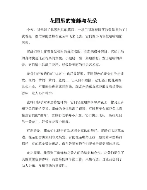 小学三年级作文这儿真美范文花园里的蜜蜂与花朵