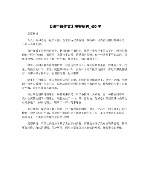 【四年级作文】观察杨树_400字