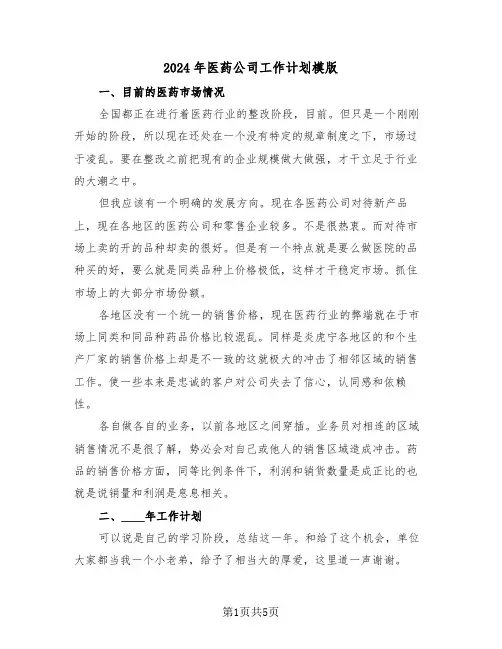 2024年医药公司工作计划模版（二篇）