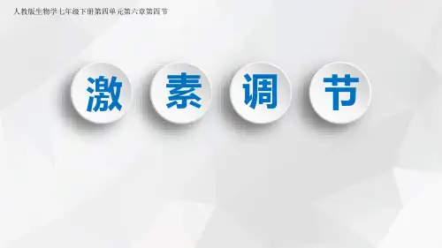 初中七年级下册生物《激素调节》课件