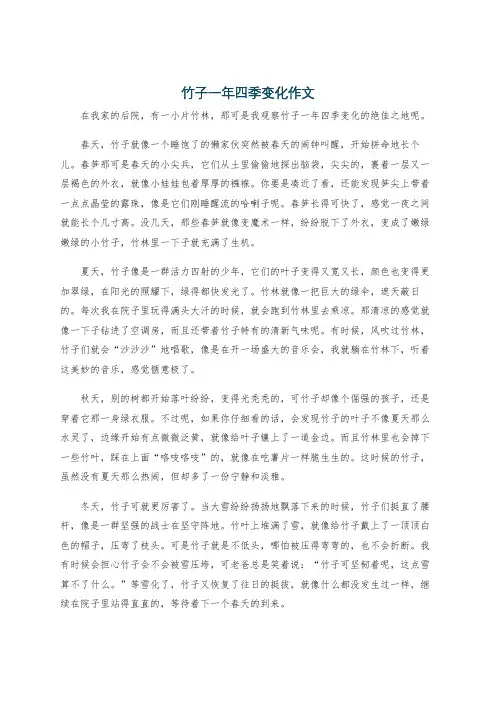 竹子一年四季变化作文