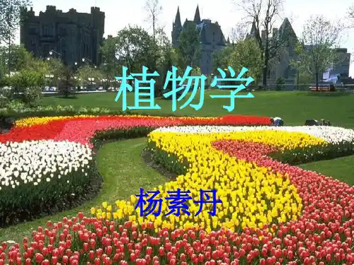《植物学绪论YS》PPT课件