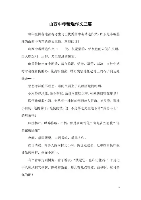 山西中考精选作文三篇