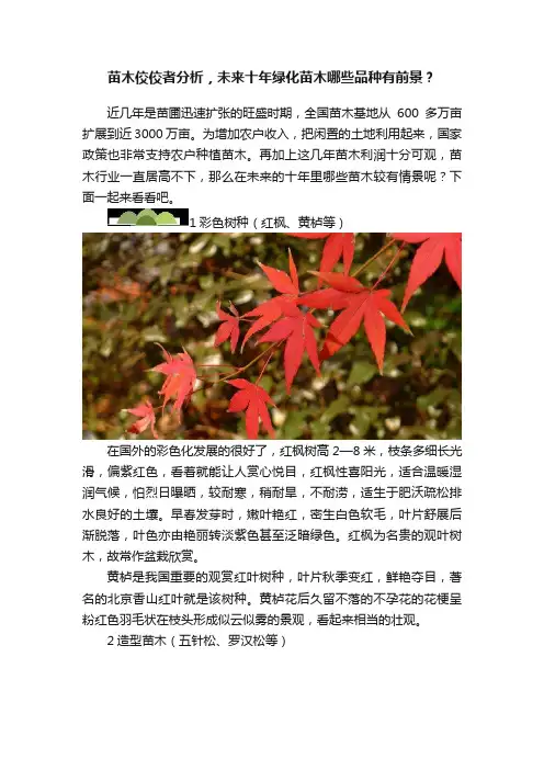 苗木佼佼者分析，未来十年绿化苗木哪些品种有前景？