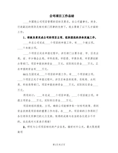 公司项目工作总结(4篇)