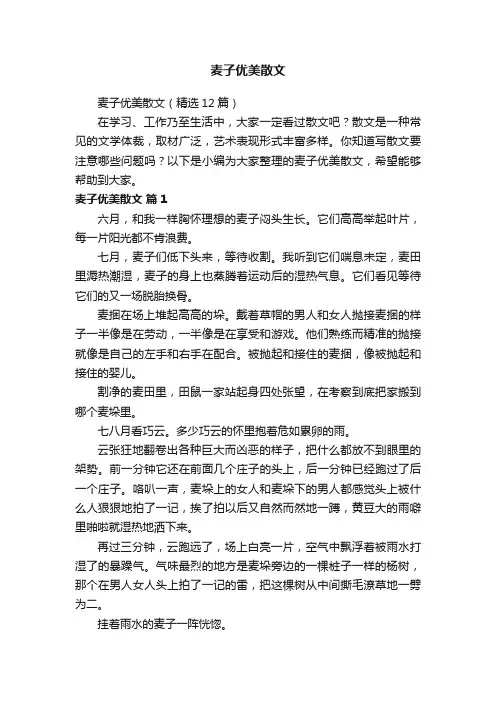 麦子优美散文（精选12篇）