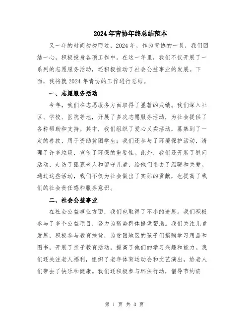 2024年青协年终总结范本