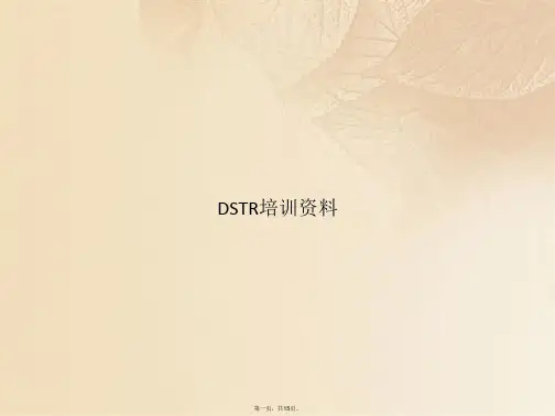 DSTR培训资料(共15张PPT)