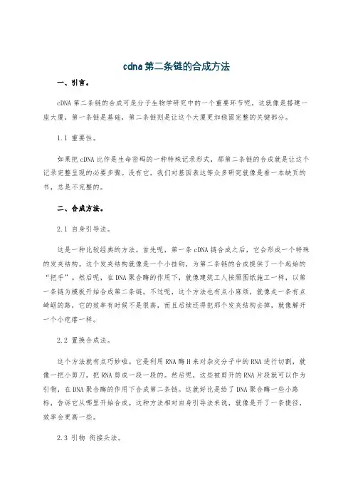 cdna第二条链的合成方法