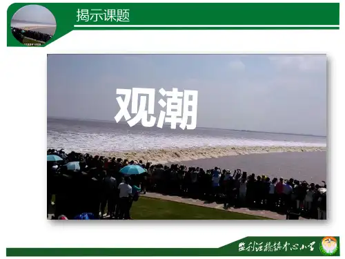观潮