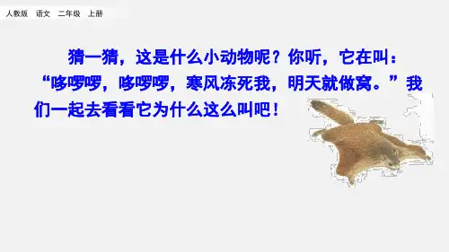 部编版二年级上册语文13寒号鸟课件PPT