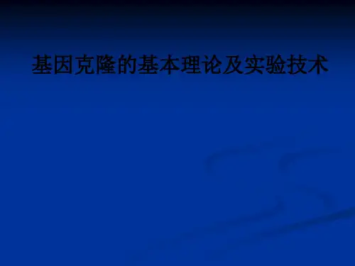 基因克隆的基本理论及实验技术ppt课件