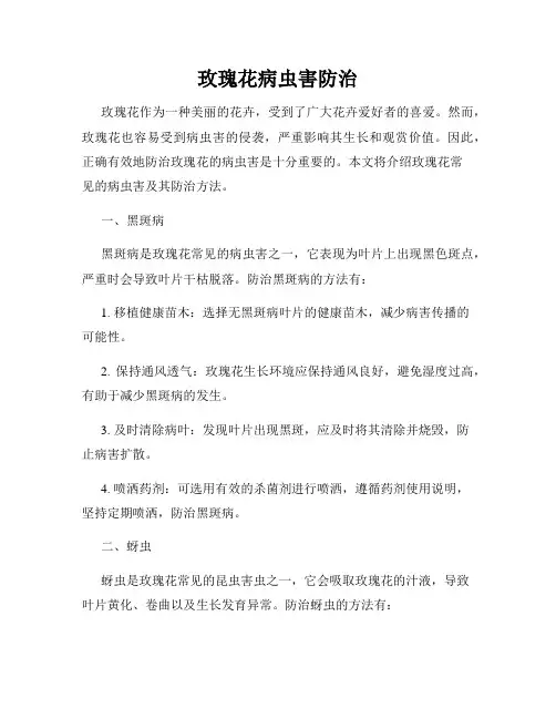玫瑰花病虫害防治