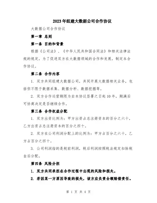 2023年组建大数据公司合作协议