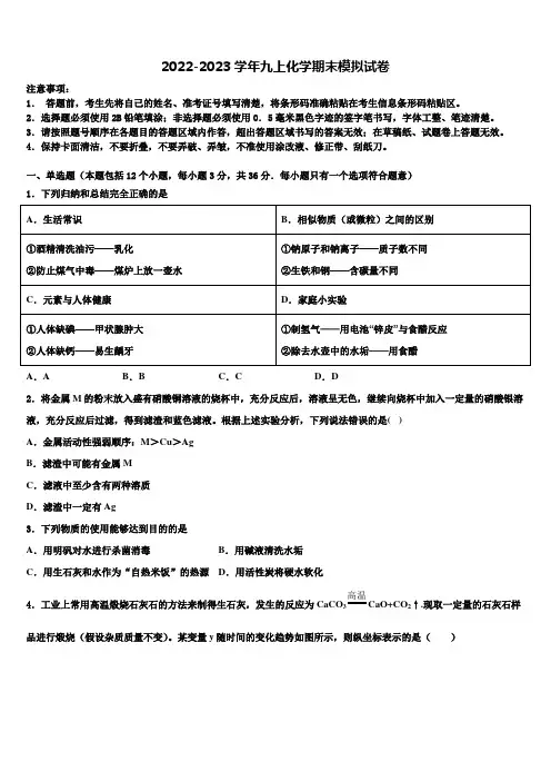 2022-2023学年广东省华师附中实验学校九年级化学第一学期期末达标检测试题含解析