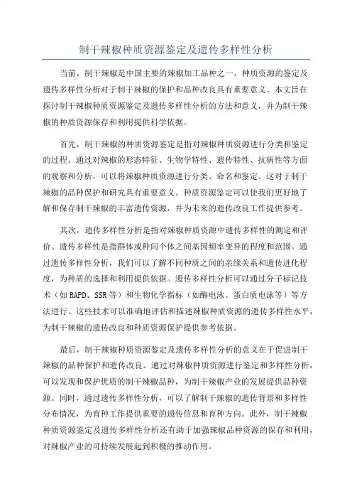 制干辣椒种质资源鉴定及遗传多样性分析