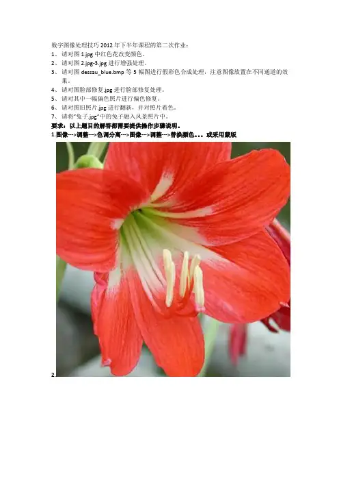 数字图像处理作业1