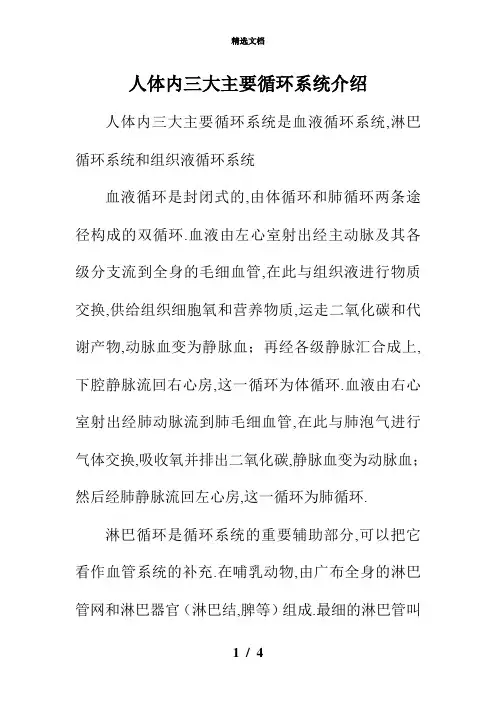 人体三大循环系统介绍